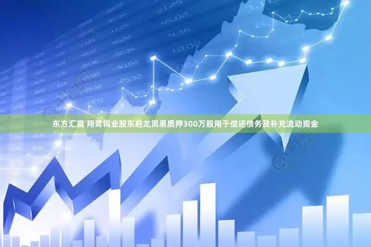 东方汇赢 翔鹭钨业股东启龙贸易质押300万股用于偿还债务及补充流动资金
